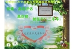 东仁天宇二手车评估置换全明星周末