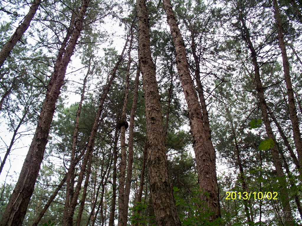 歌曲风含情水含笑