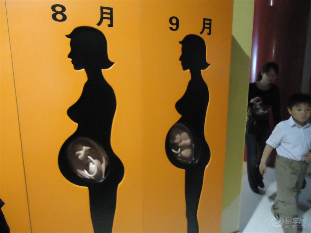 cf504203a6fa405b98cc5e230ef3b1d5.JPG