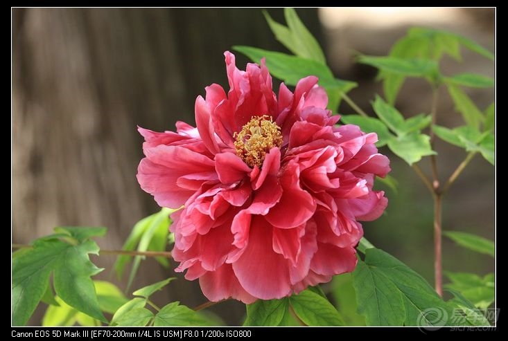 d4dd5232b20a4ba5a954b19d76cbb445.jpg
