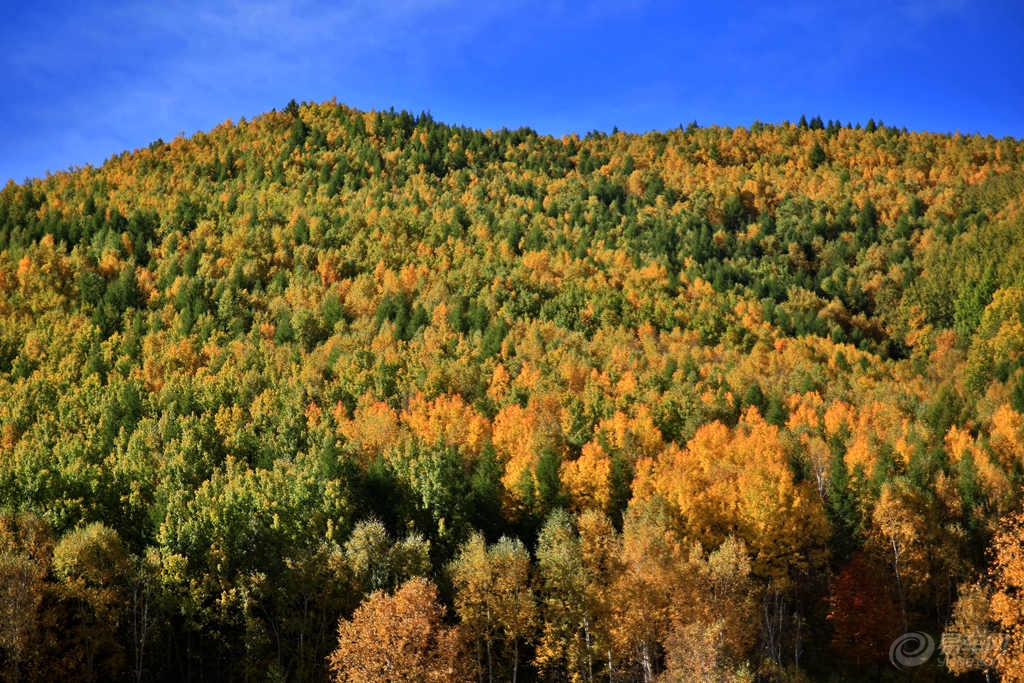 河北坝上四县gdp_河北坝上
