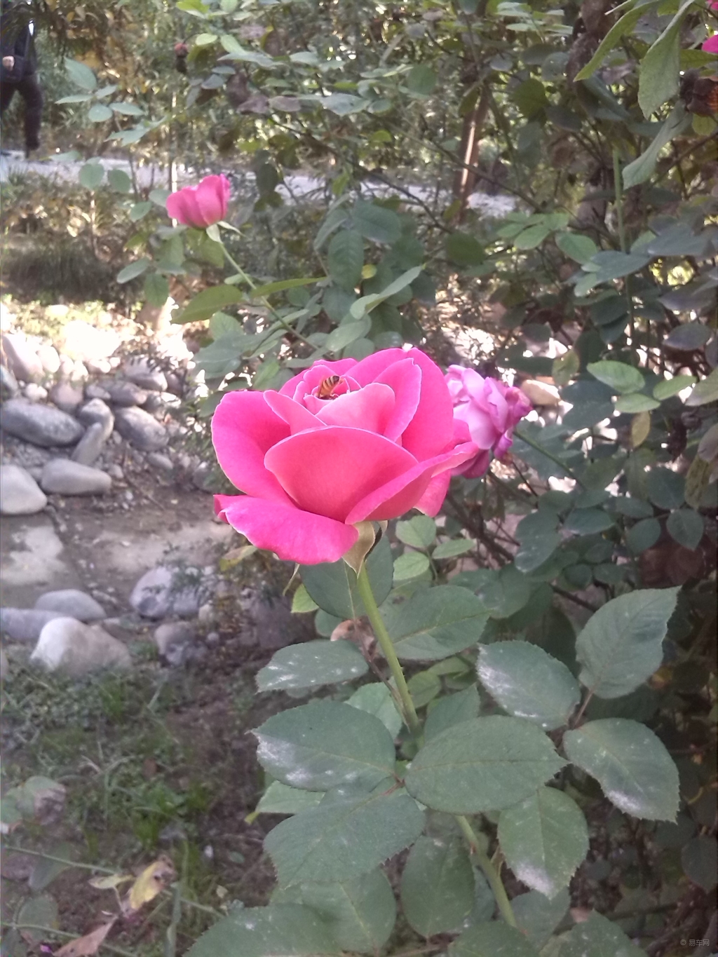 d350cf14c5df43b0b4dc5ea46852c5dc.jpg