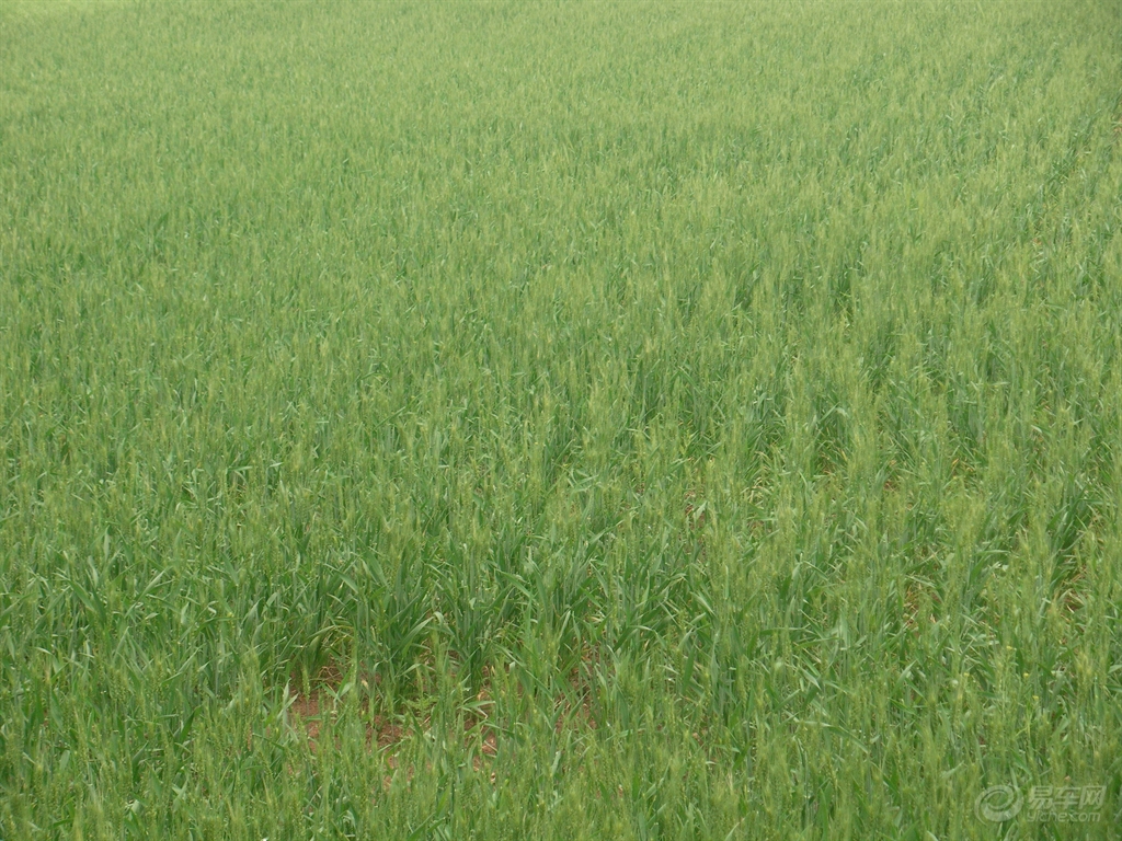 42c93c643cb14b02ba48405073d80dcb.JPG