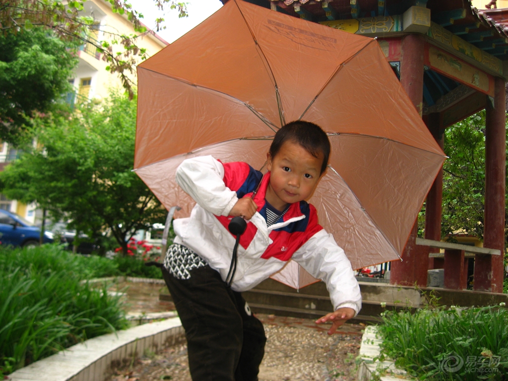 雨中伞道怎么搭_雨中的伞图片