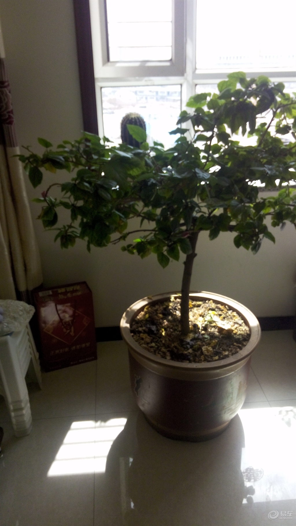 1399b0626ad845618b6b6e8a1dadd85c.jpg