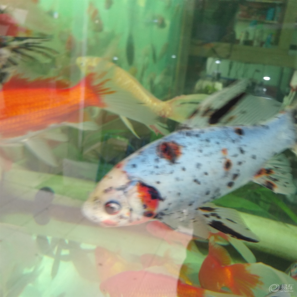 dfdf896c3bb84a389cb8bc09bdc70565.jpg