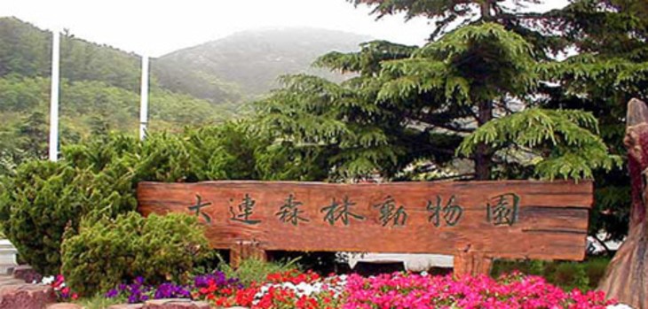 【大连森林动物园周边自驾游