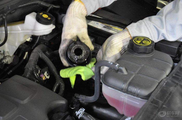 【【转】小昂马杀鸡全纪录】_昂科拉论坛