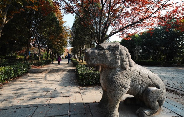 【分享下我最喜欢最满意的秋景作业】_广东车