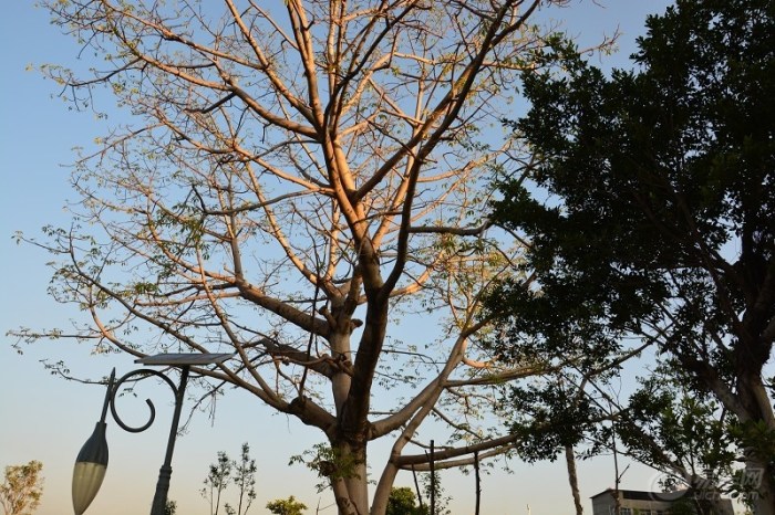 【入手单反,随拍了点照片,欢迎指导,评价。】_