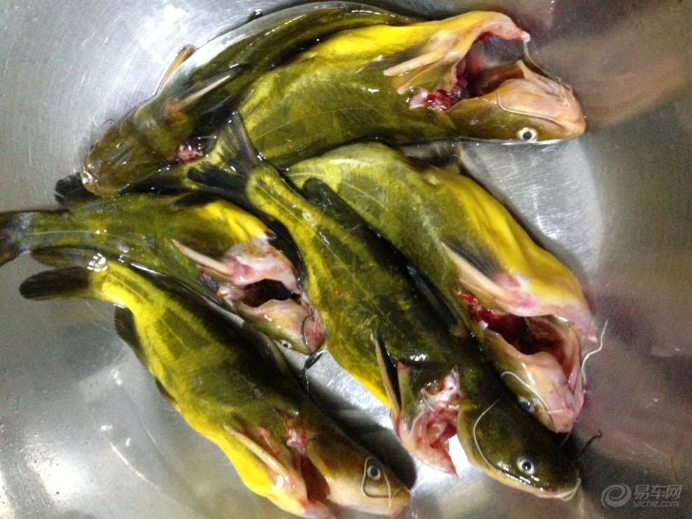 【泡泡拿手菜--昂刺鱼汤】_美食之旅图片集锦