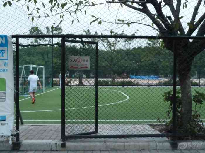 【上了岁数不要踢足球】广东论坛论坛