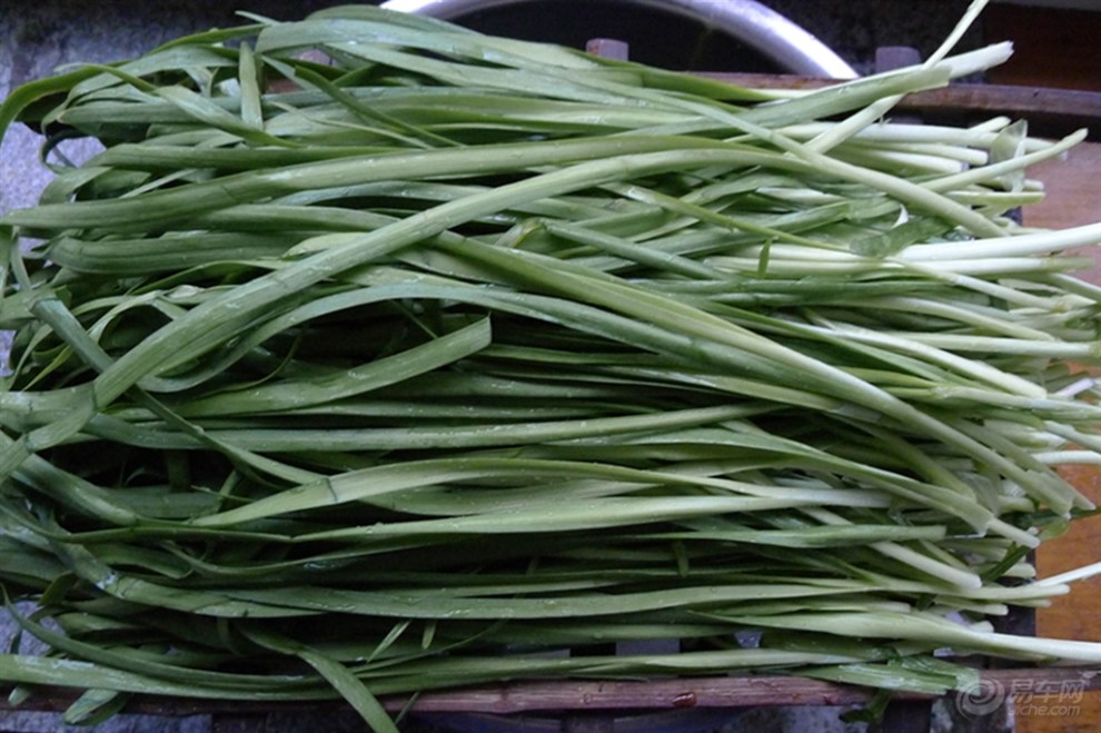 【【双十二巨献】韭菜馅水饺】_山东论坛图片