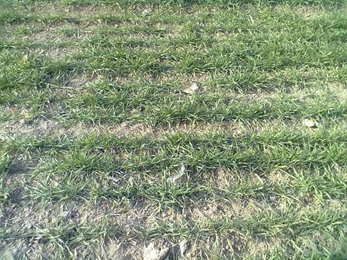 【【走进初冬】济南的初冬】_安徽车友会