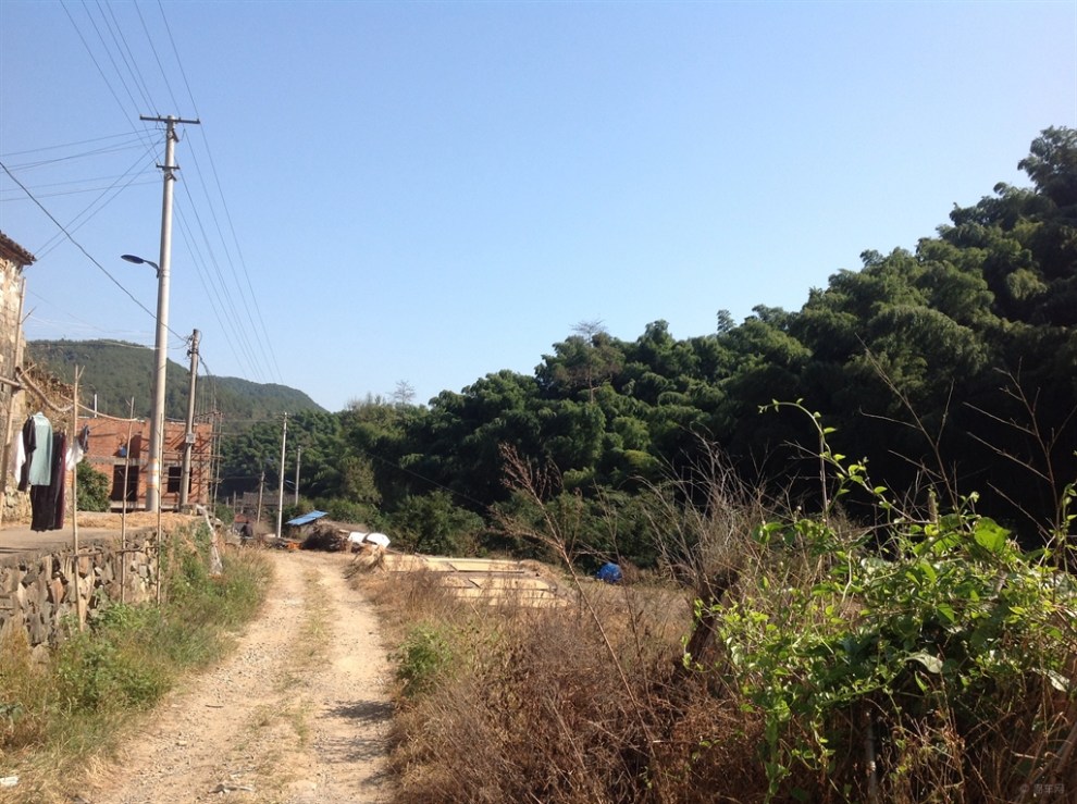 奉化竹林村