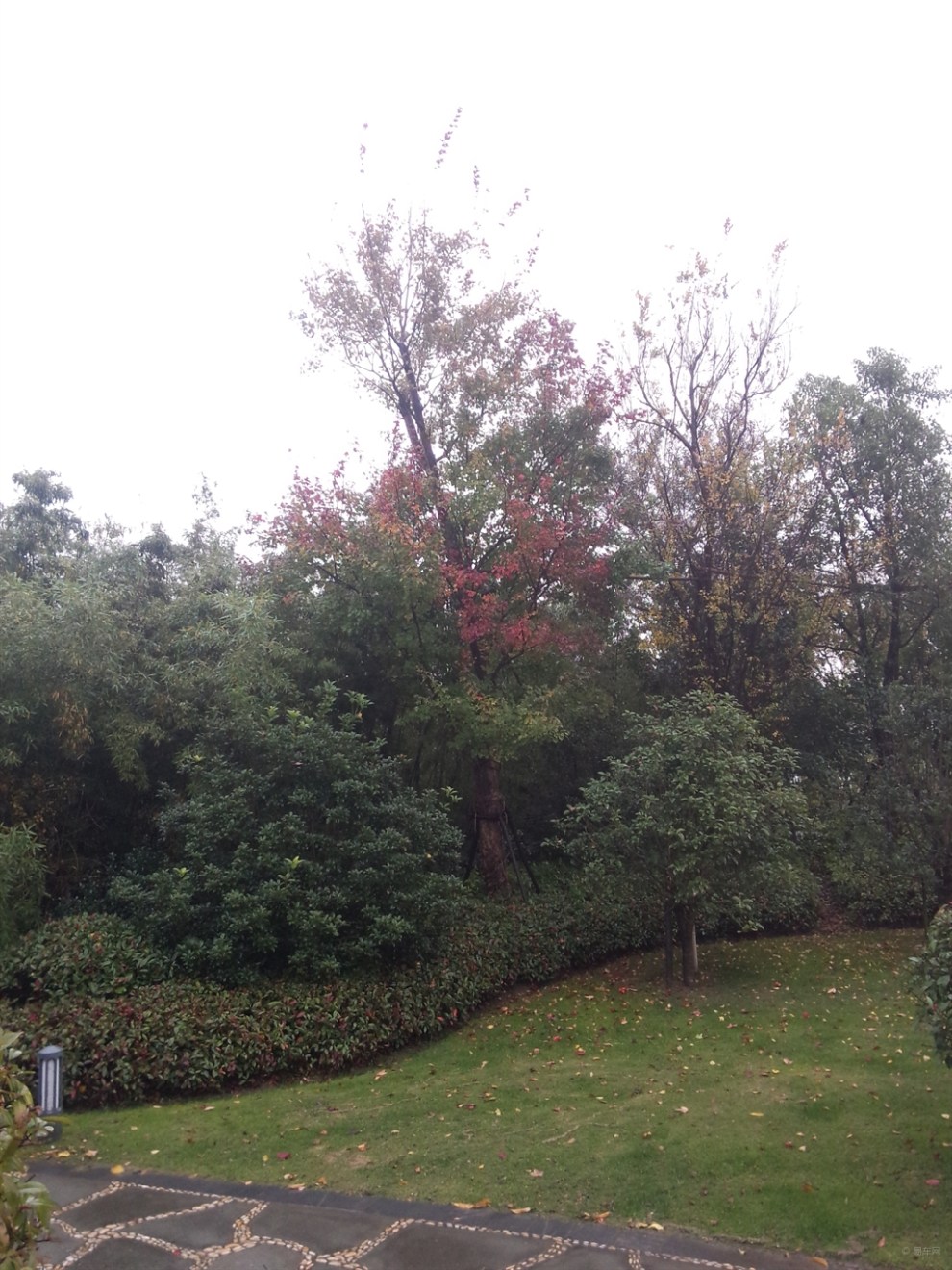 【到处逛逛】_吉利GX7论坛图片集锦