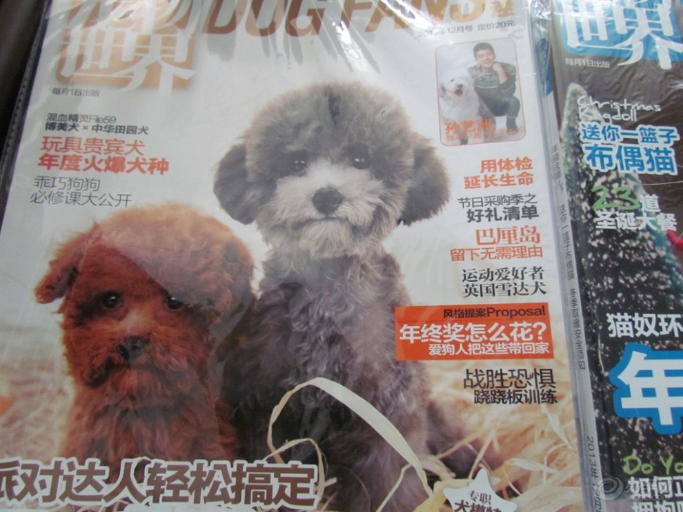 【宠物杂志】_福建论坛图片集锦