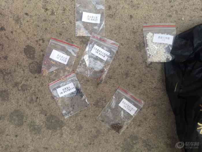 【栽花】辽宁论坛论坛_手机易车网