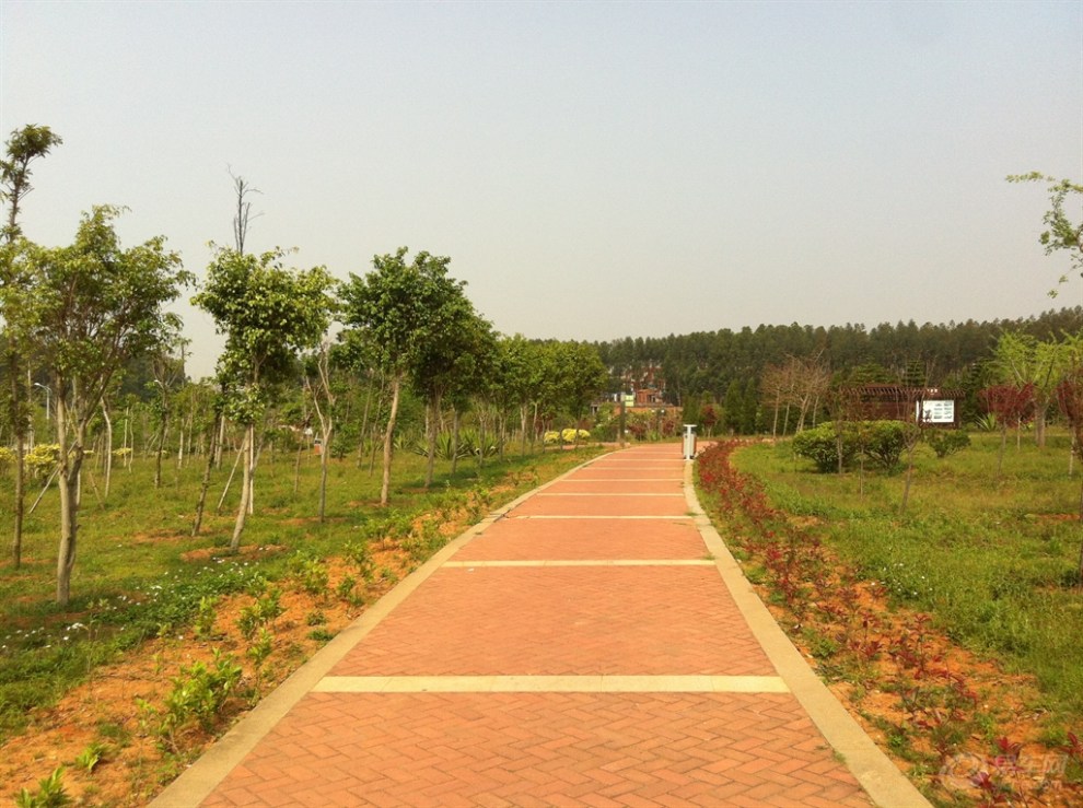 【泉港植物园闲逛】_福建论坛图片集锦