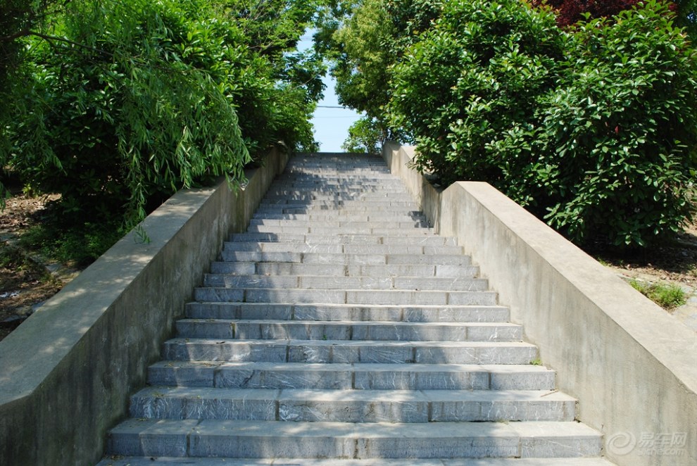 【上午好阳光风吹起走走家乡河畔西岸边寻拍景