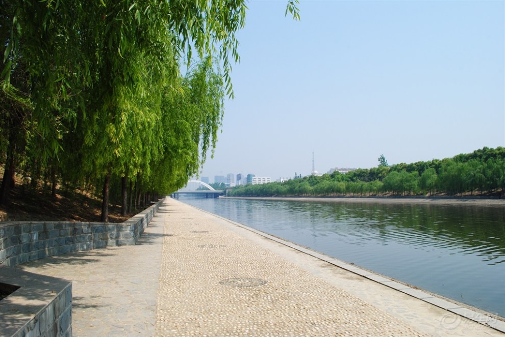 【上午好阳光风吹起走走家乡河畔西岸边寻拍景