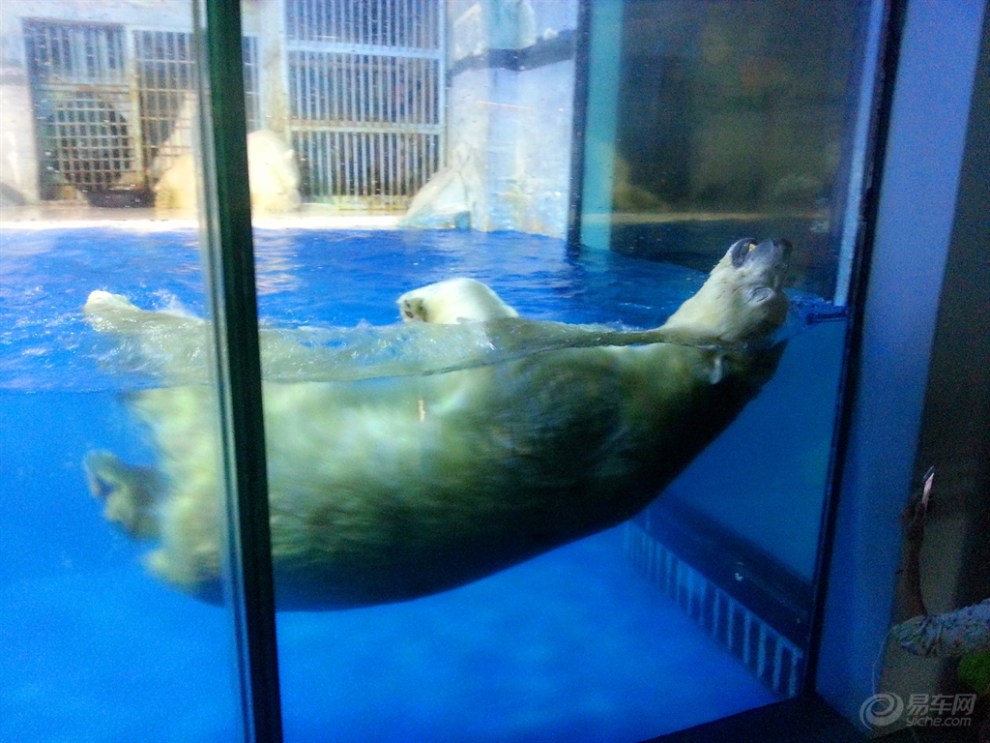 【【宝贝快乐秀】140503假期去看鱼(下)】_超