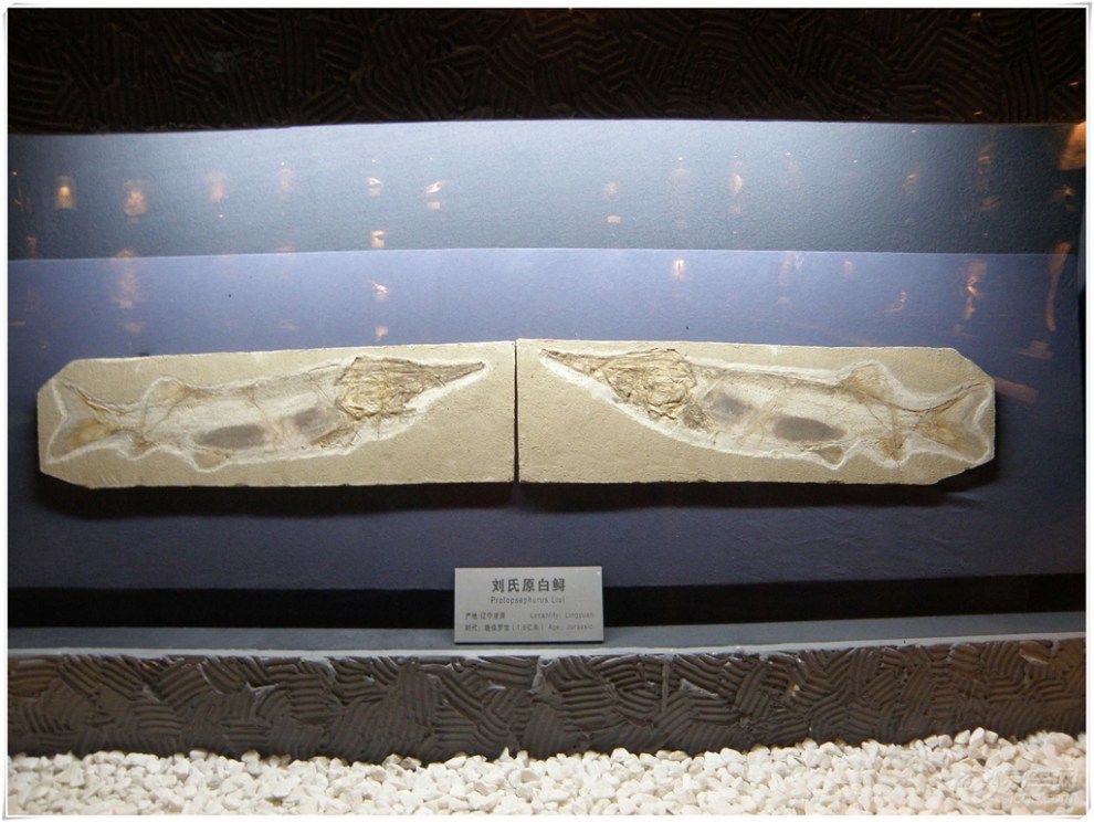 【【原创首发】参观锦州市博物馆,感受家乡历