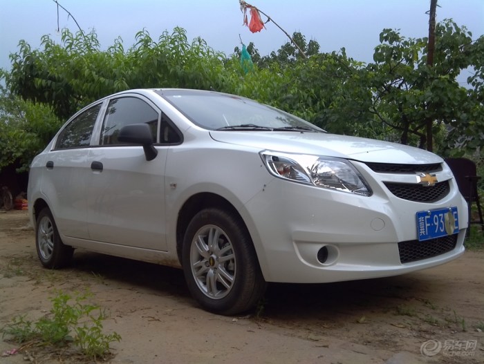 【真实口碑:春天里,我和白鸥有个约会】_新赛