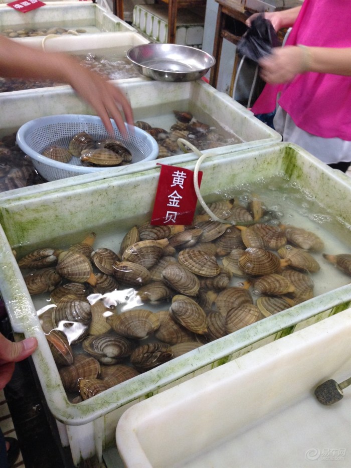 三亚吃海鲜_凤姐吃海鲜大餐_海南三亚吃海鲜(2)