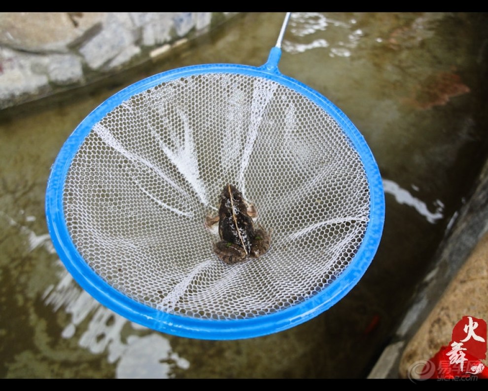 【【行者火舞】马场山下论三国,羽扇纶巾周都