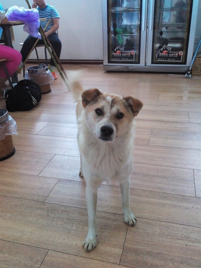 【【合肥地区联盟】天柱山一日游】_安徽车友会_汽车论坛-易车网