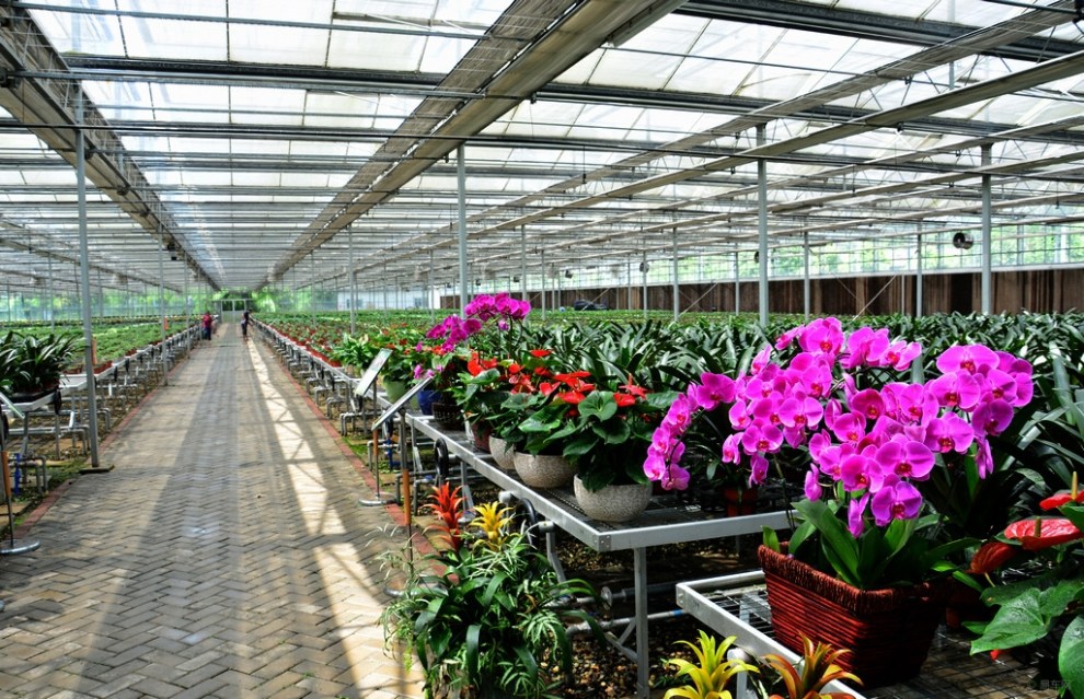 【成都印象--三圣乡花卉基地】_宝来论坛图片