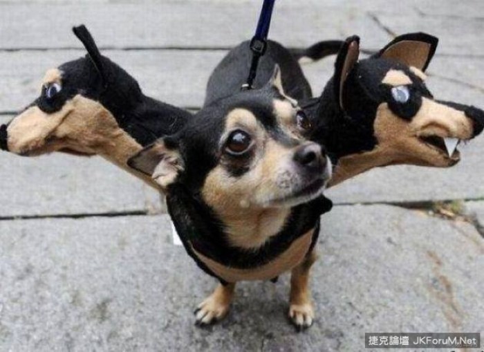 【地狱三头犬】_广西车友会_汽车论坛-易车网