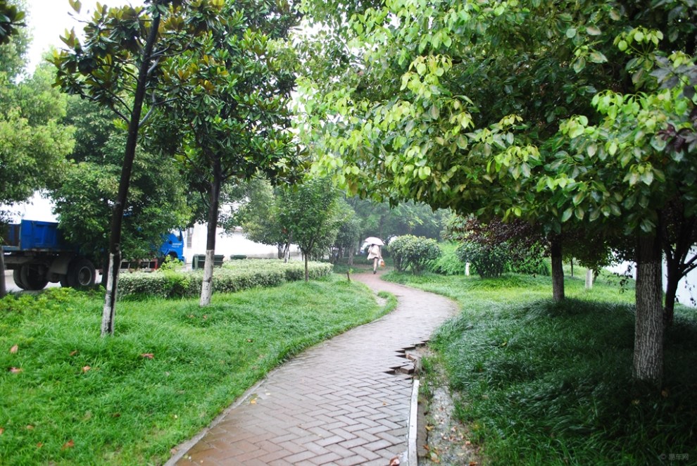 景民游园步道走走找拍雨中景观东片观赏