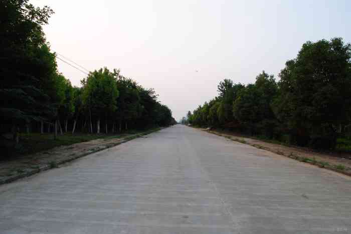 【转台阶上道 路边走 起跟拍段 泰迪 玩耍继行】安