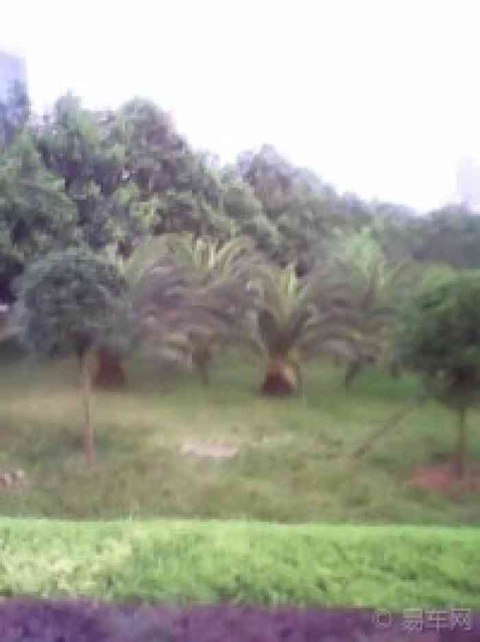 【宁远县人民政府】湖南论坛论坛