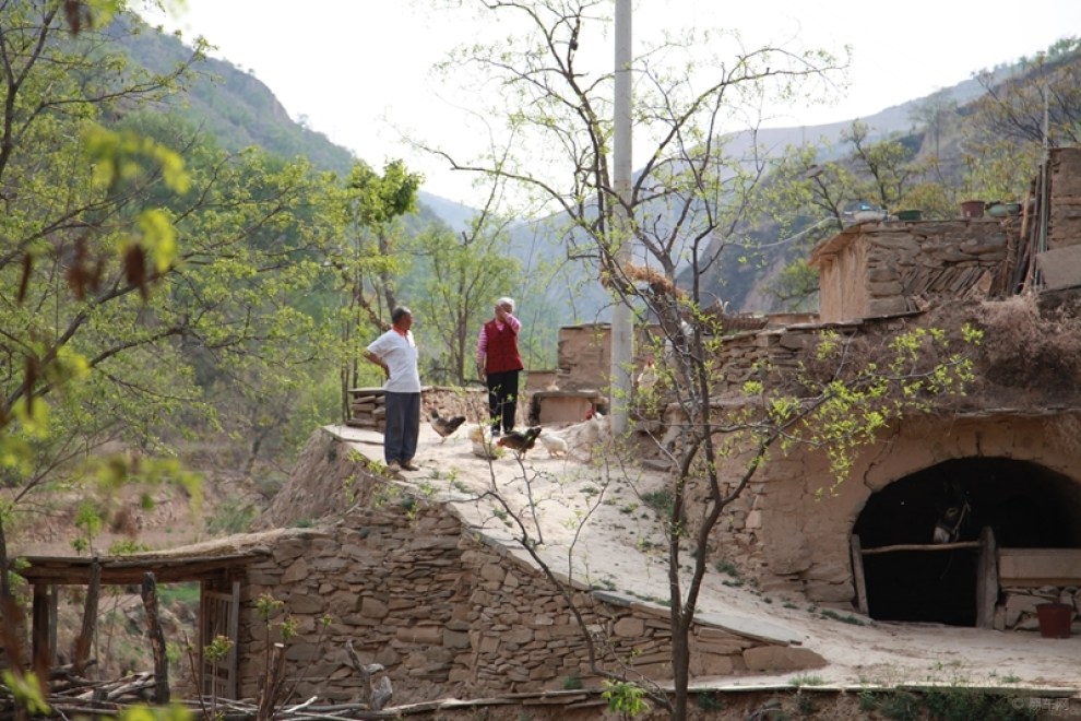 【原创】清涧县李家塔法师庙会斗山鸡民俗花絮《纪实》系列2