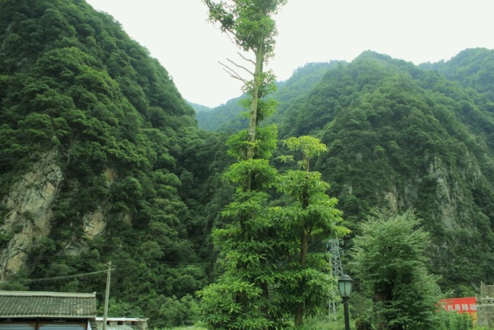【【四川CS35车友会】北鼻.宝兴跷碛湖畔野炊