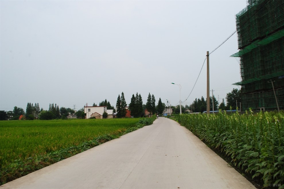 【景观大道店忠路上记录转村通水泥路】_安徽