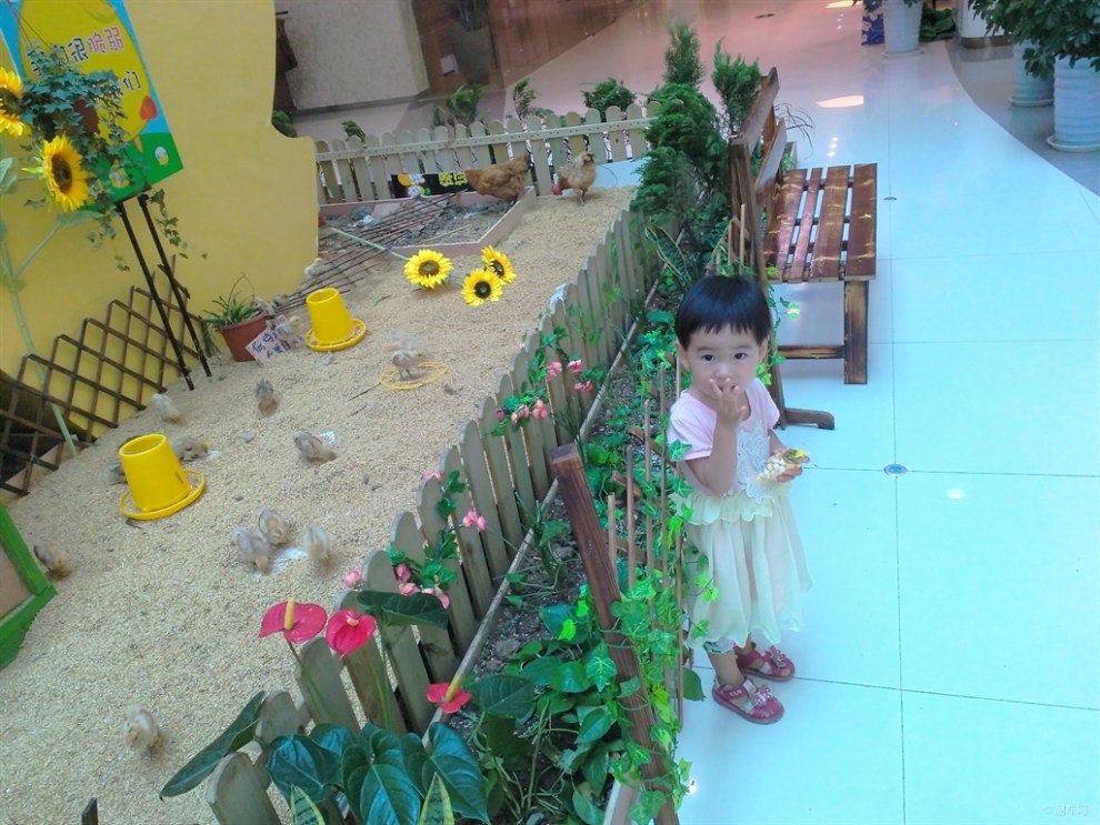 【【宝贝快乐秀】微型农场(封面)】_超级宝贝