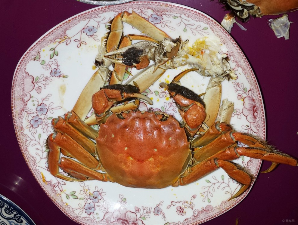 【蒸螃蟹煮螃蟹,怎么好吃怎么吃~】_安徽论坛