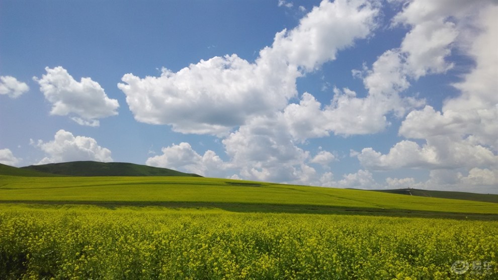 夏日草原美景