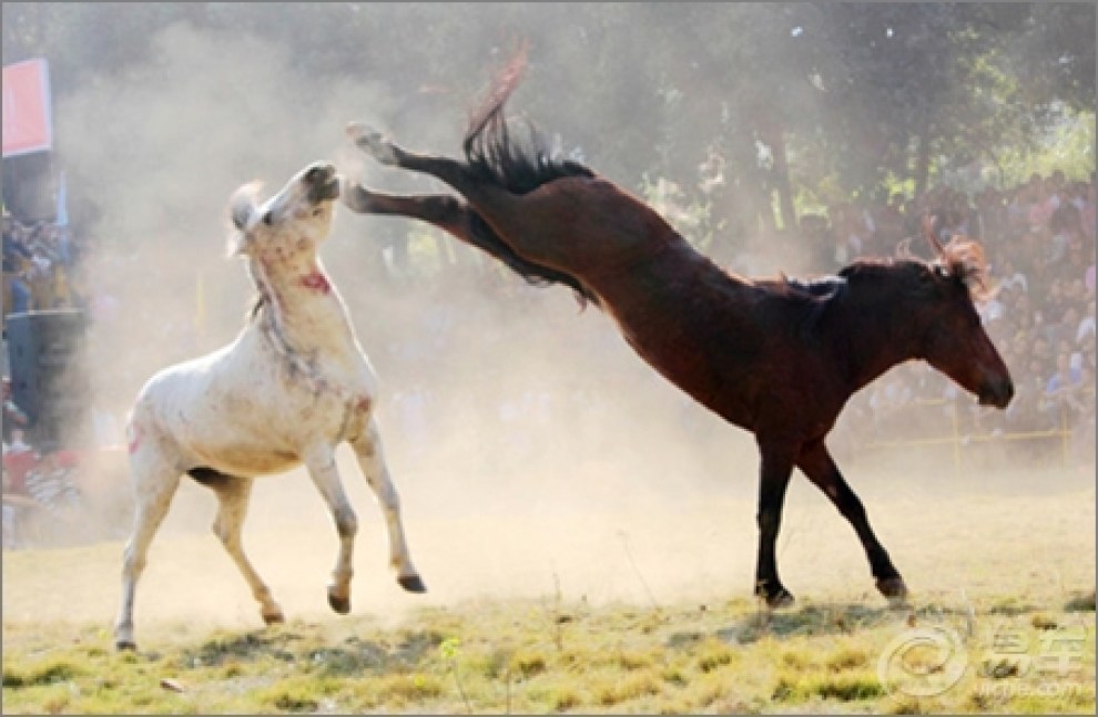 【醉梦金秋叶摇曳民族风】_自驾游论坛图片集