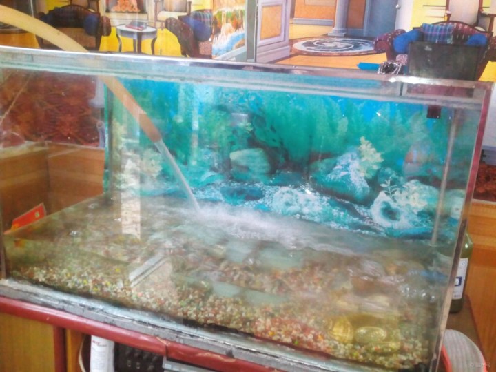 【鱼缸浑水】_长城C30论坛_汽车论坛-易车网