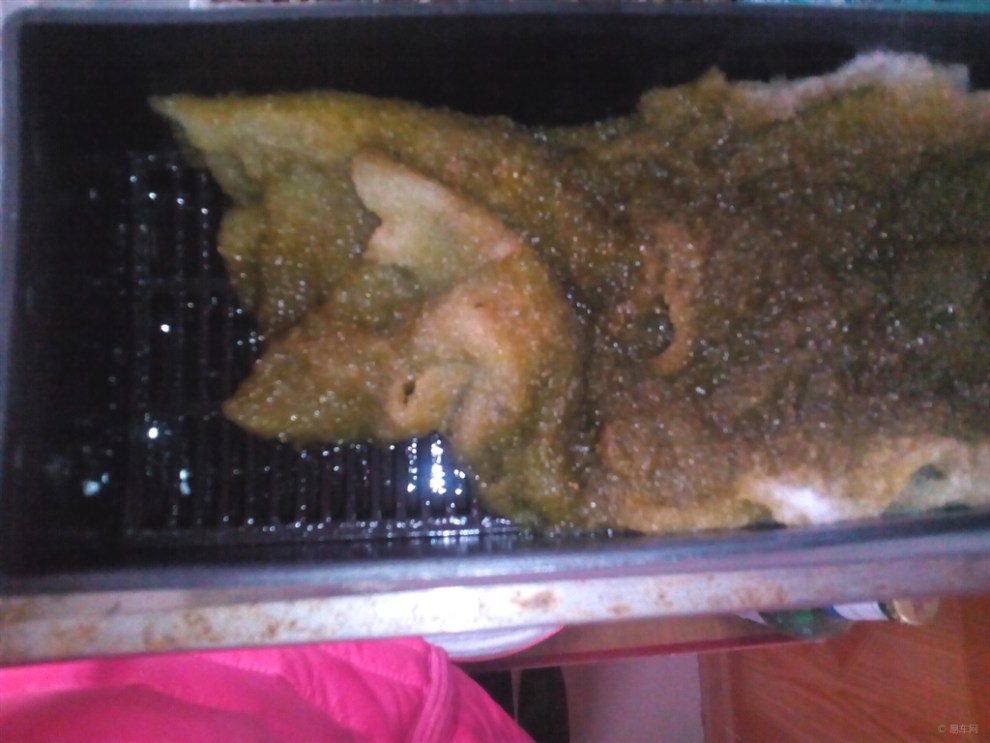 【鱼缸浑水】_长城C30论坛图片集锦
