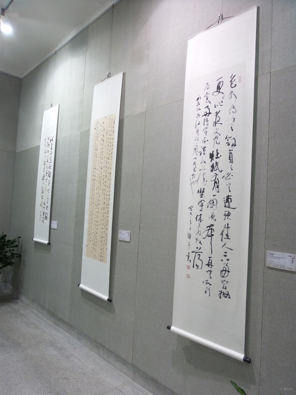 白沙茅龙笔书法展