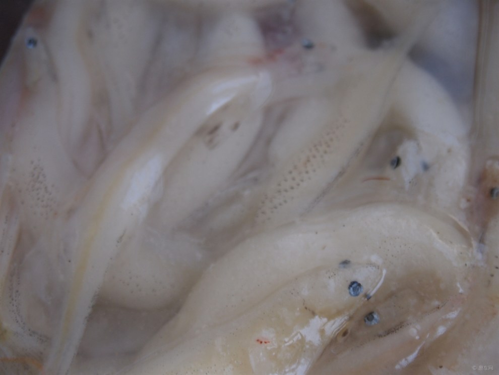 【【食尚美食】软炸私房(玩家菜)】_窝窝美食银鱼网团购原阳之旅图片