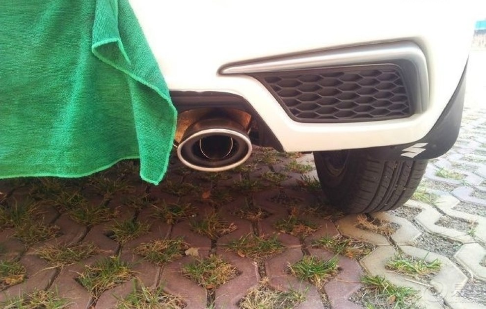 【打算完成我心中的小梦想,领雨燕回家!】_雨