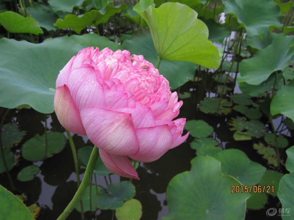 【高铁出游的吃处住处买处】_海马骑士论坛图