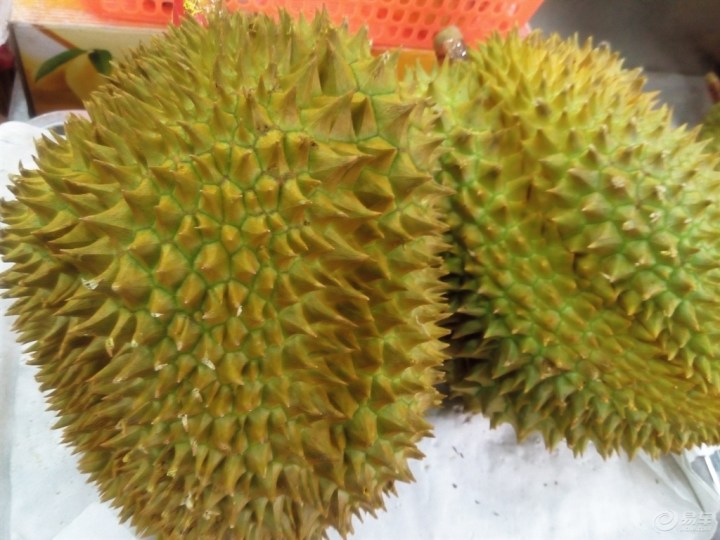 【逛南国水果超市,欣赏奇特水果】_内蒙古车友